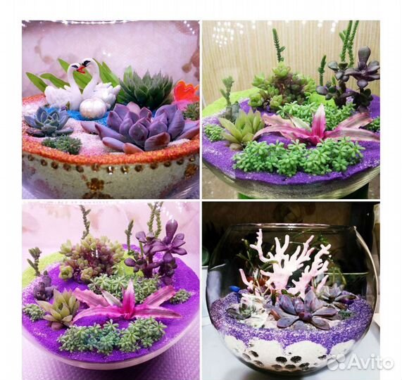 Флорариум Эксклюзив с футбольный мяч