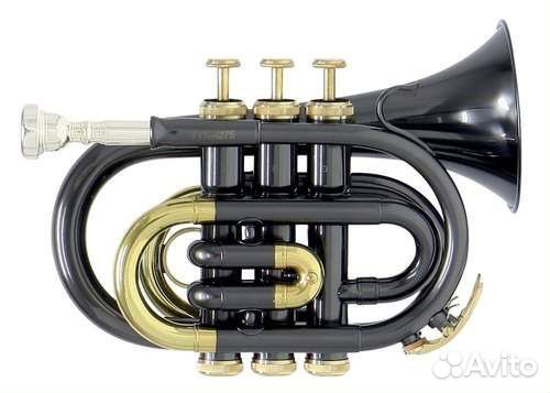 Карманная труба Roy Benson PT-101K Bb