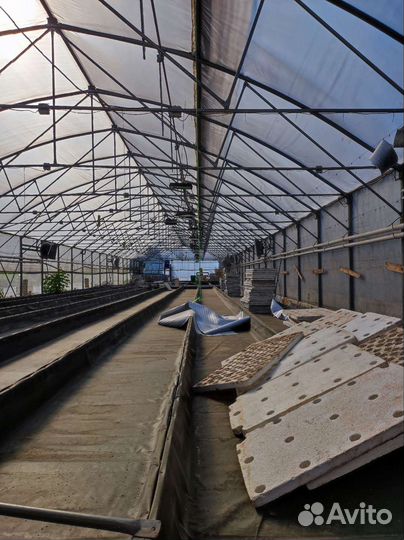 Фермерская теплица