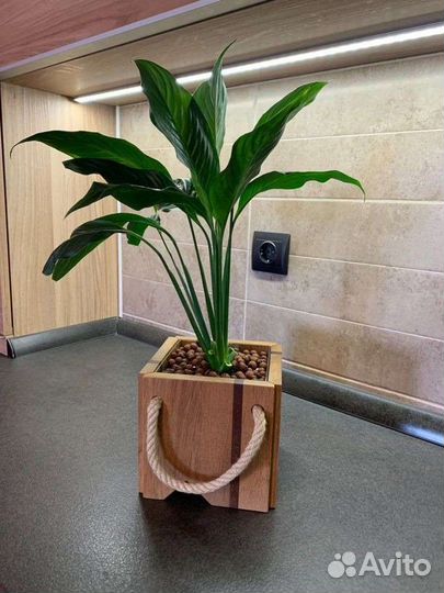 Кашпо и вазоны для растений