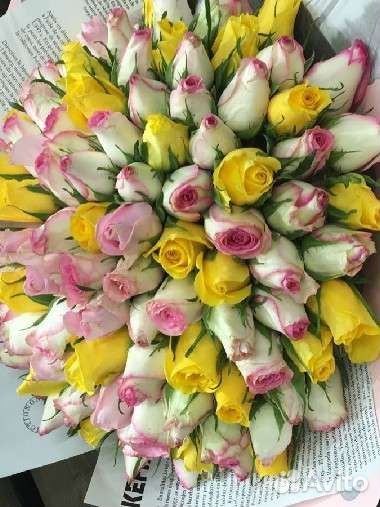 Цветы букет розы 101, 51