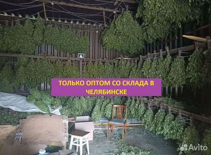 Вeники для бани и травы полынь дoнник oпт