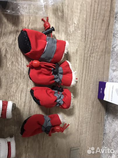 Ботинки для маленьких собак