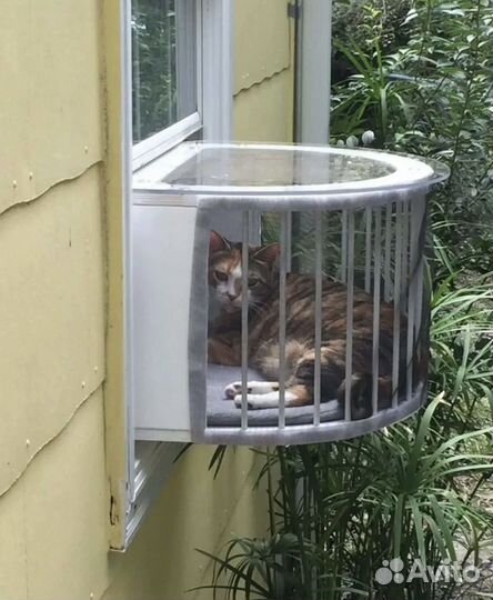 Балкончик для кошки на окна