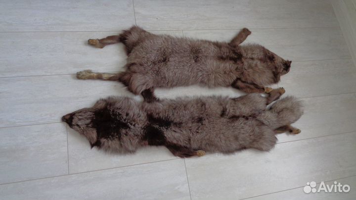 Шкурка песца