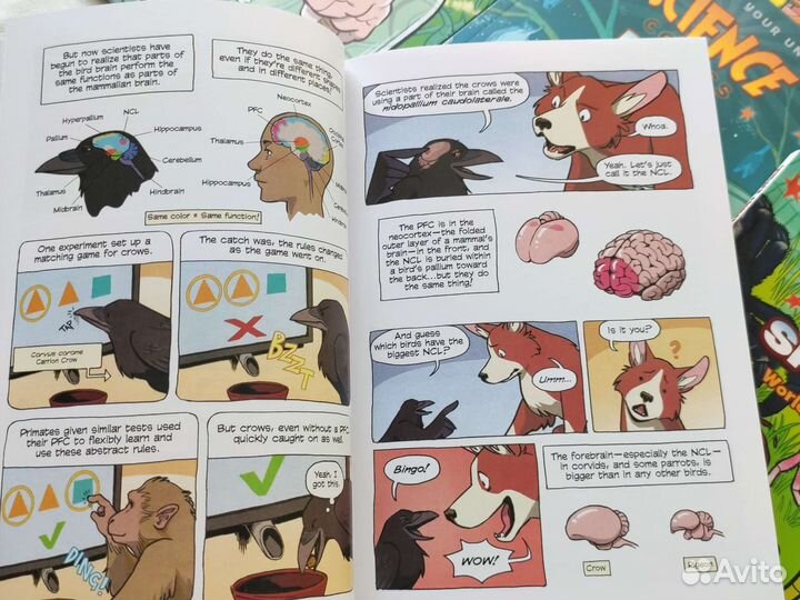 Детские английские книги научные комиксы