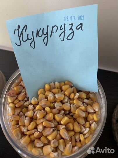 Кукуруза, Ячмень,Горох,отруби, жмых, пшеница