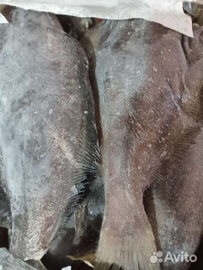 Палтус с/м пбг