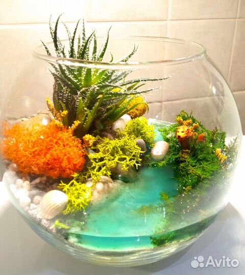 Флорариум подарок