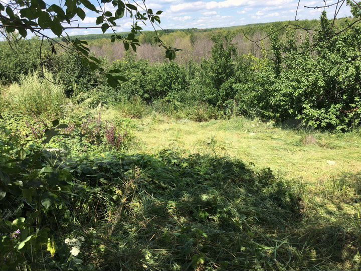 Участок 8,9 сот. (ИЖС)