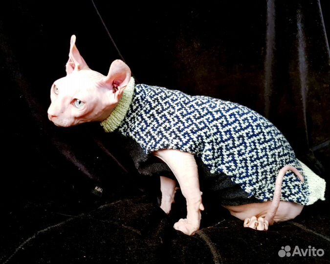 Двэльф. Девочка