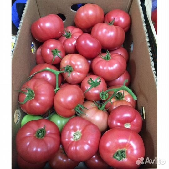 Томат Пинк Маргари F1 1000сем