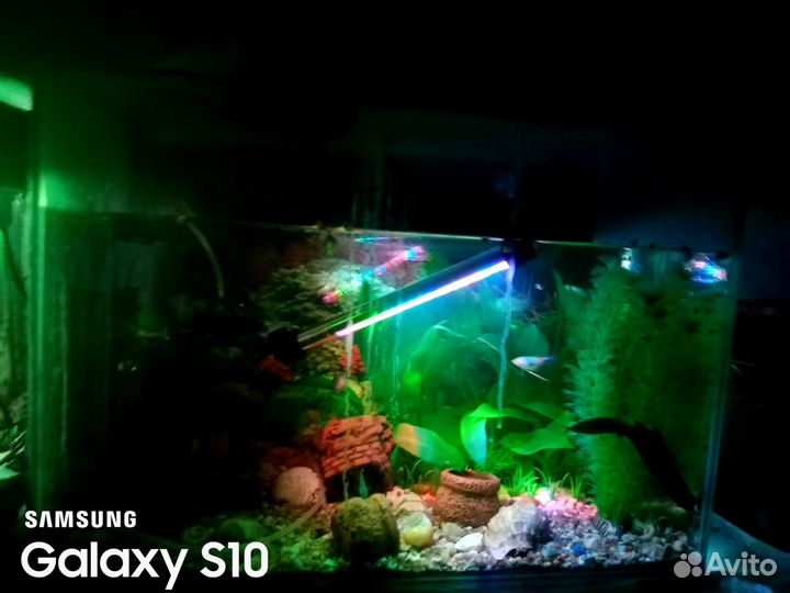 Аквариумы декорации освещение