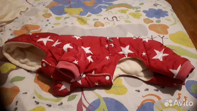 Комбинезон для средних пород собак