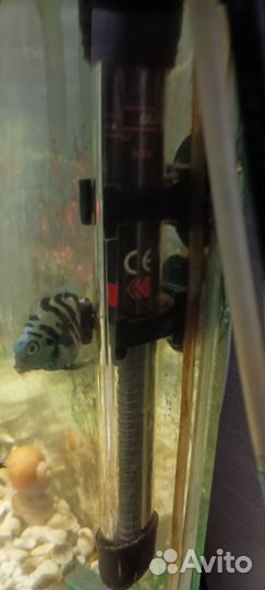 Аквариум 70 литров