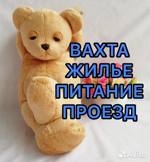 Работа с проживанием / разнорабочий