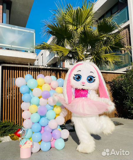 Белый медведь, Супер жорик, зайка и другие