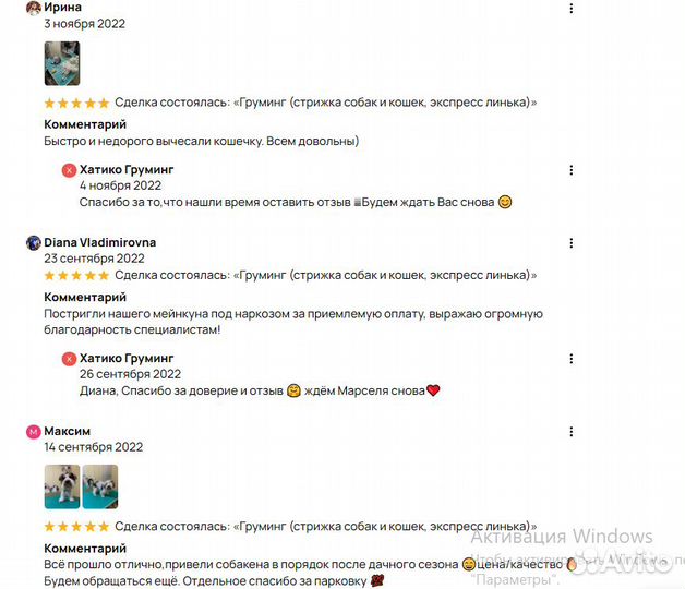 Экспресс линька чихуахуа