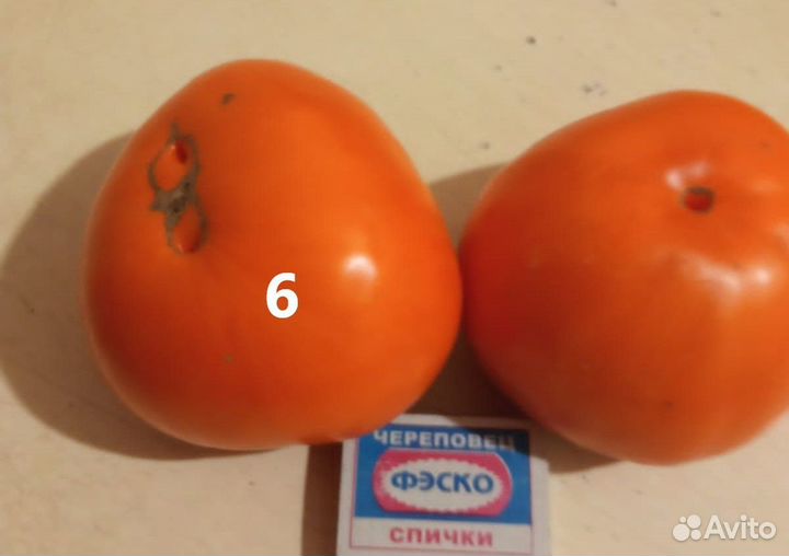 Семена томатов
