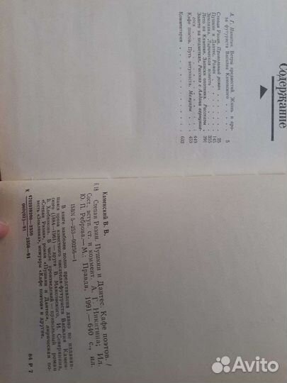 Василий Каменский 