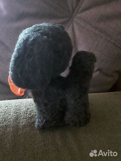 Собака СССР