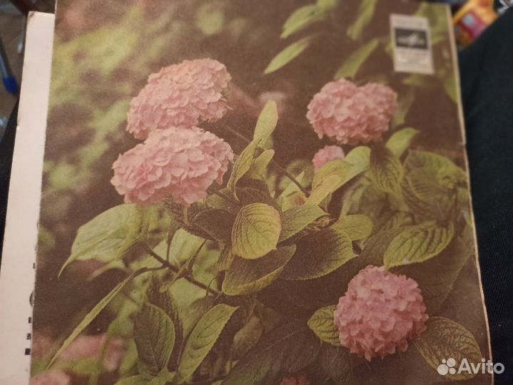 Коллекция винил. пластинок 30шт: Пол Макартни и др