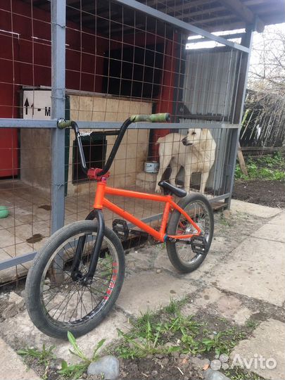 Покрыпримо555