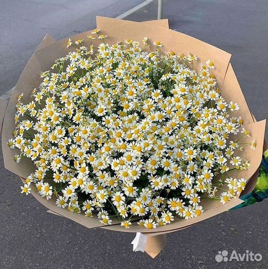 Букеты. Доставка ромашек