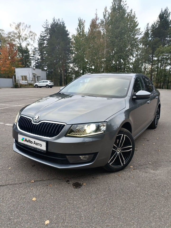 Skoda Octavia: фото владельца