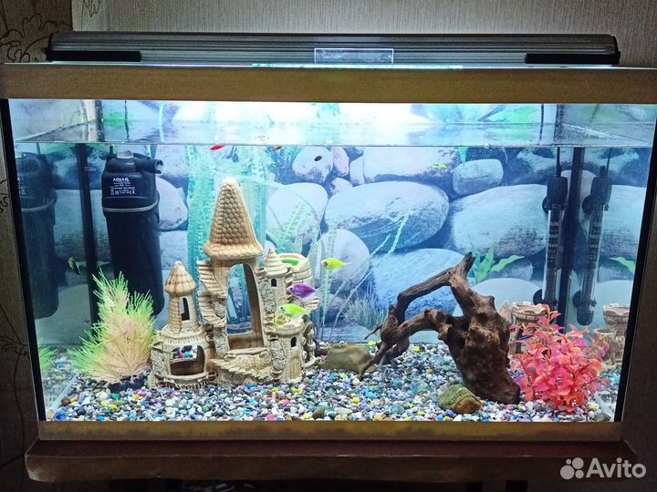 Укомплектованный аквариум