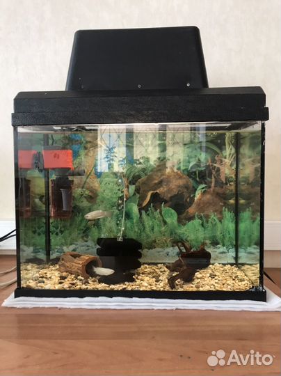 Аквариум