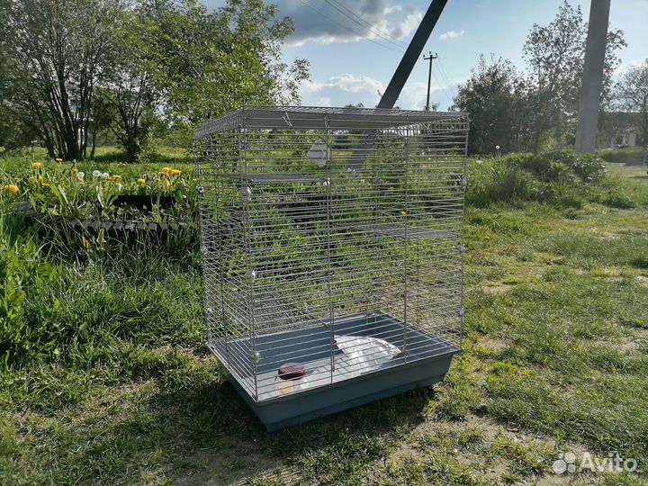 Клетка для крыс