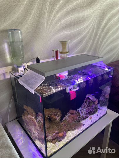 Морской аквариум