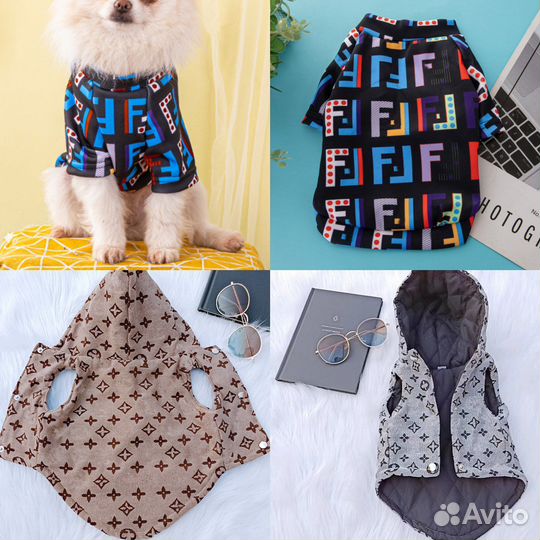 Одежда для собак