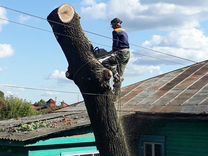 Поклейка обоев в климово