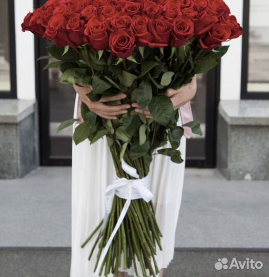 Красные розы эквадор 101 75 71 51 25