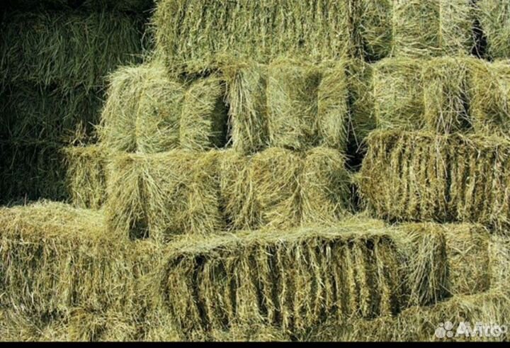 Сено