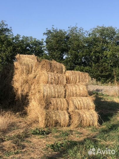 Продажа сена в рулонах разнотравие- луговое