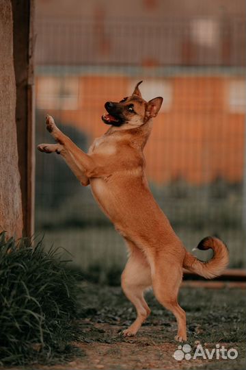 Зажигалочка Джуди