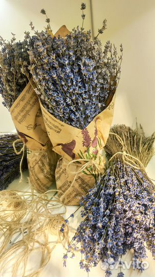 Букет лаванды
