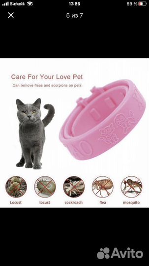 Ошейник для кошек