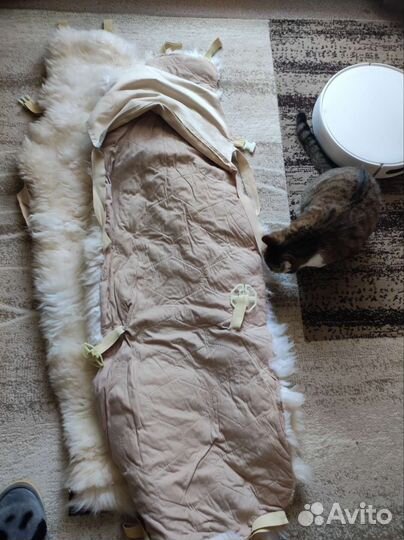 Шкурка животного