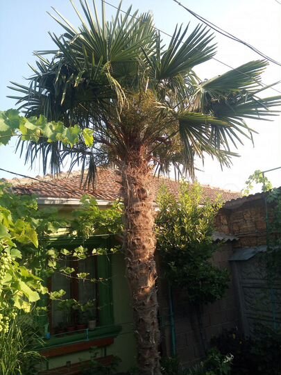 Комната 15 м² в 4-к., 1/2 эт.