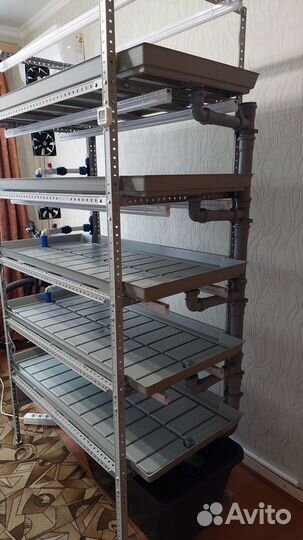 Автоматический гидропонный стеллаж для микрозелени