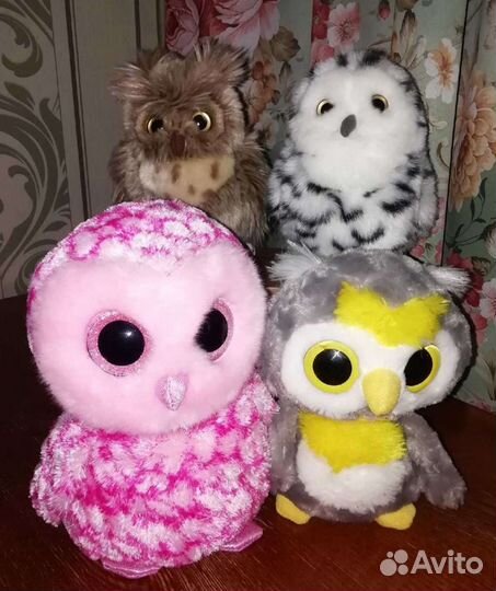 Совы, совушки, совята. Личная коллекция