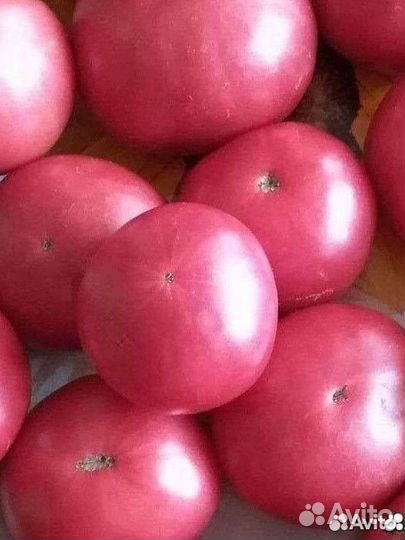 Семена помидор розовых, домашние, 200-300 гр