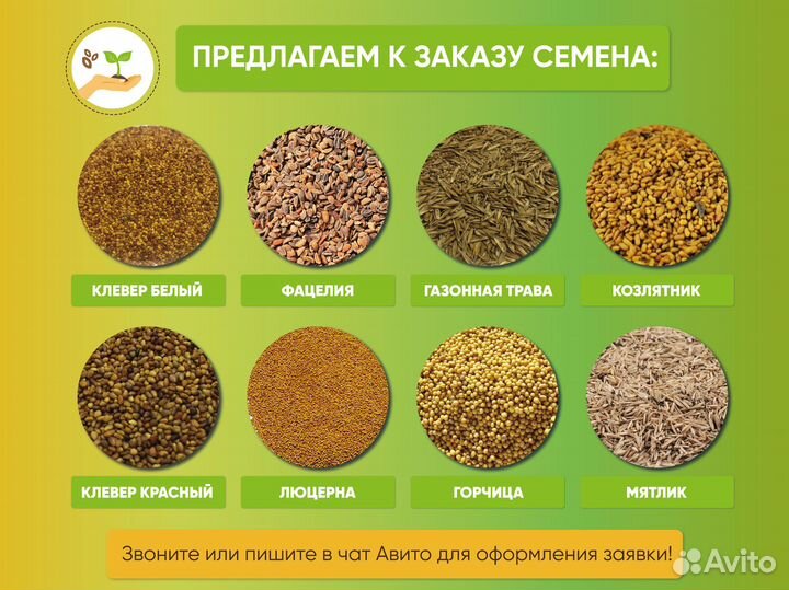 Семена костреца
