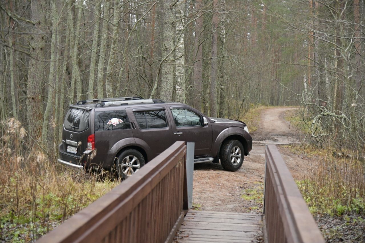 Nissan Pathfinder: фото владельца