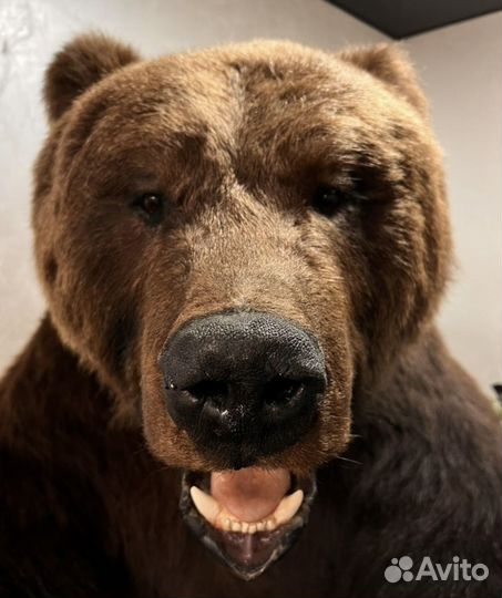 Медведь имитация 190см