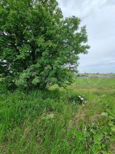 Дом 28,9 м² на участке 32 сот.